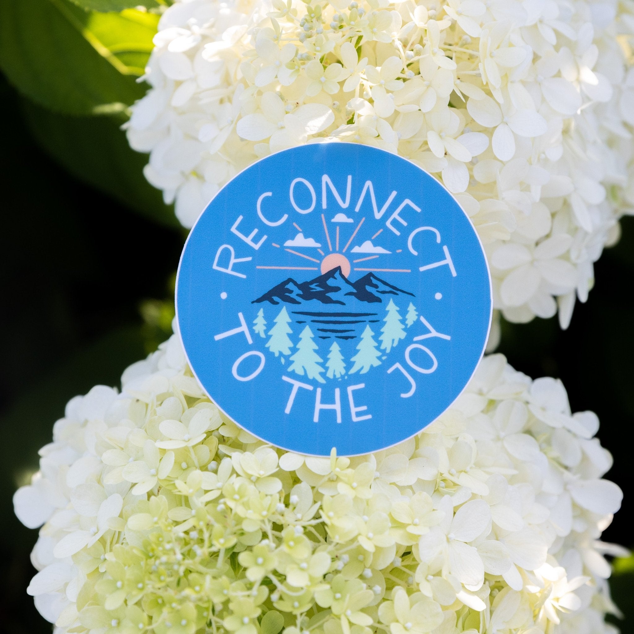 Reconnect to the Joy - menottees