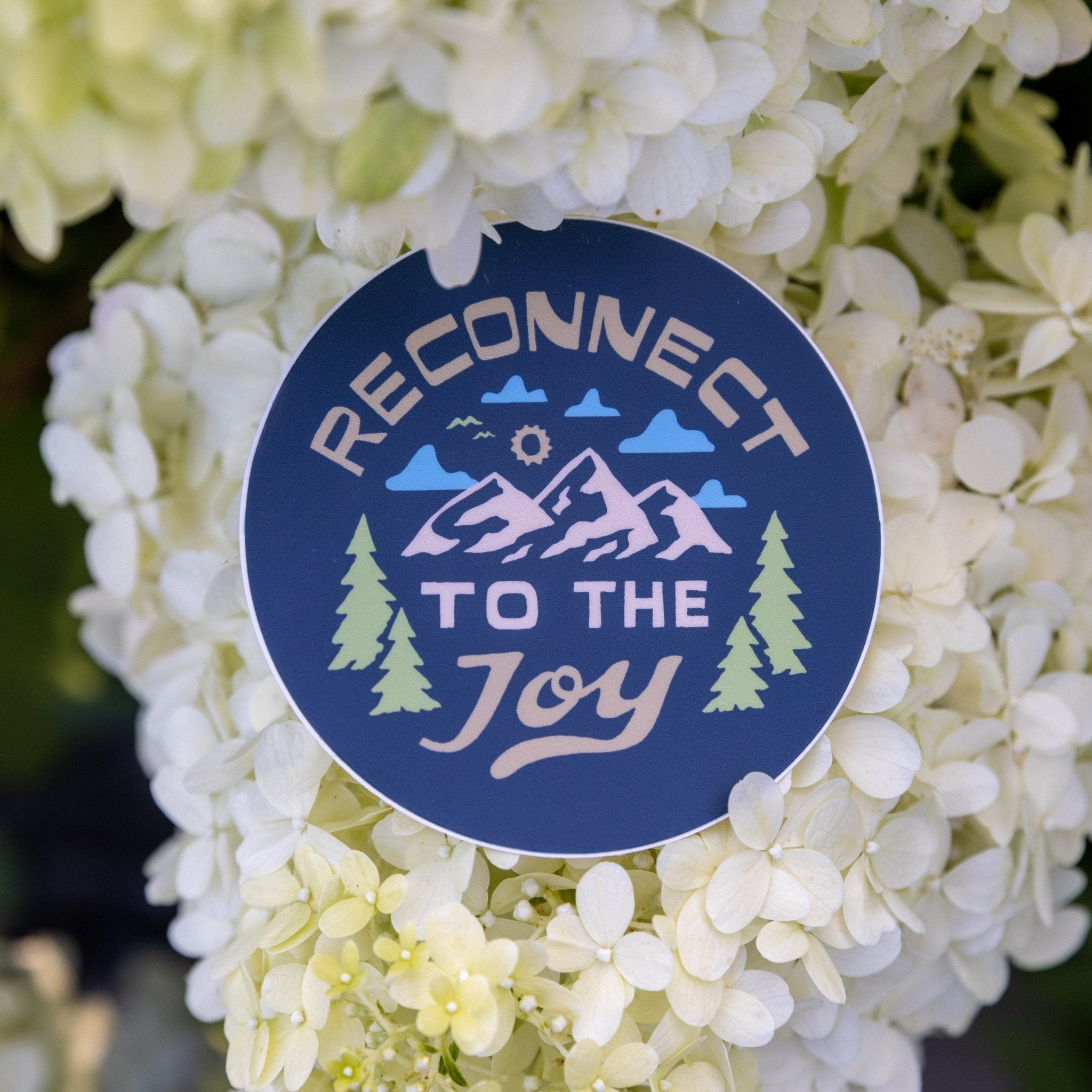 Reconnect to the Joy - menottees