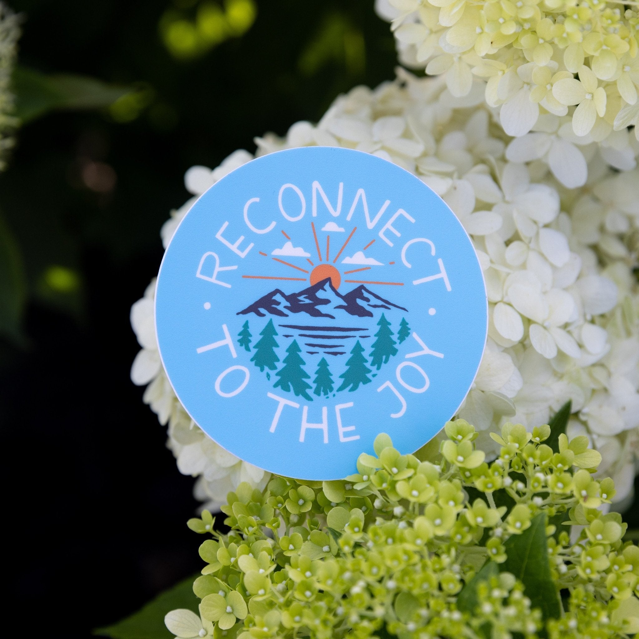 Reconnect to the Joy - menottees