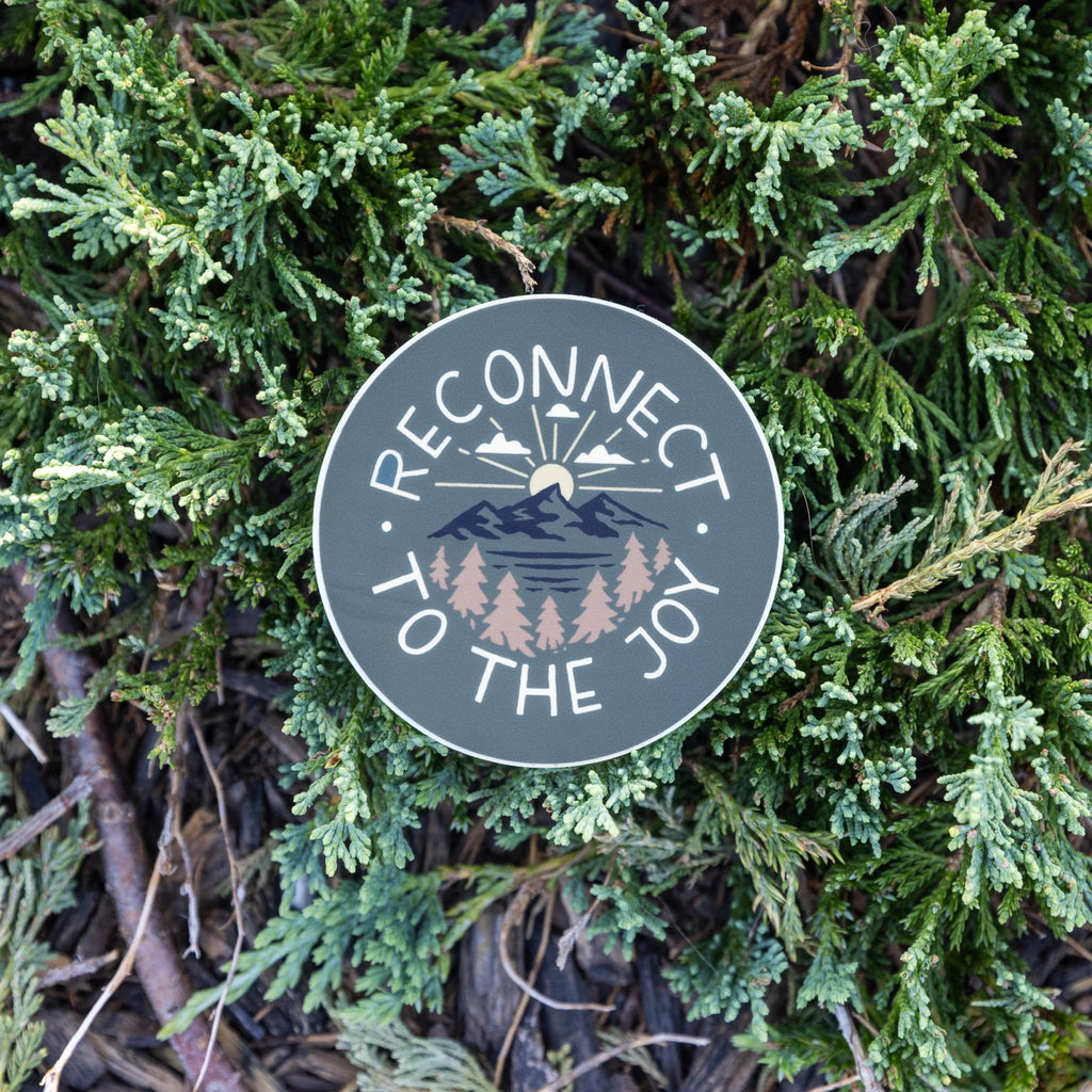 Reconnect to the Joy - menottees