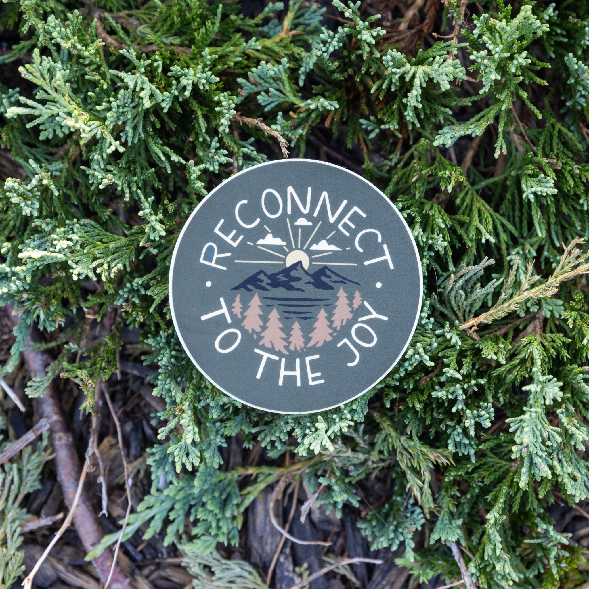 Reconnect to the Joy - menottees