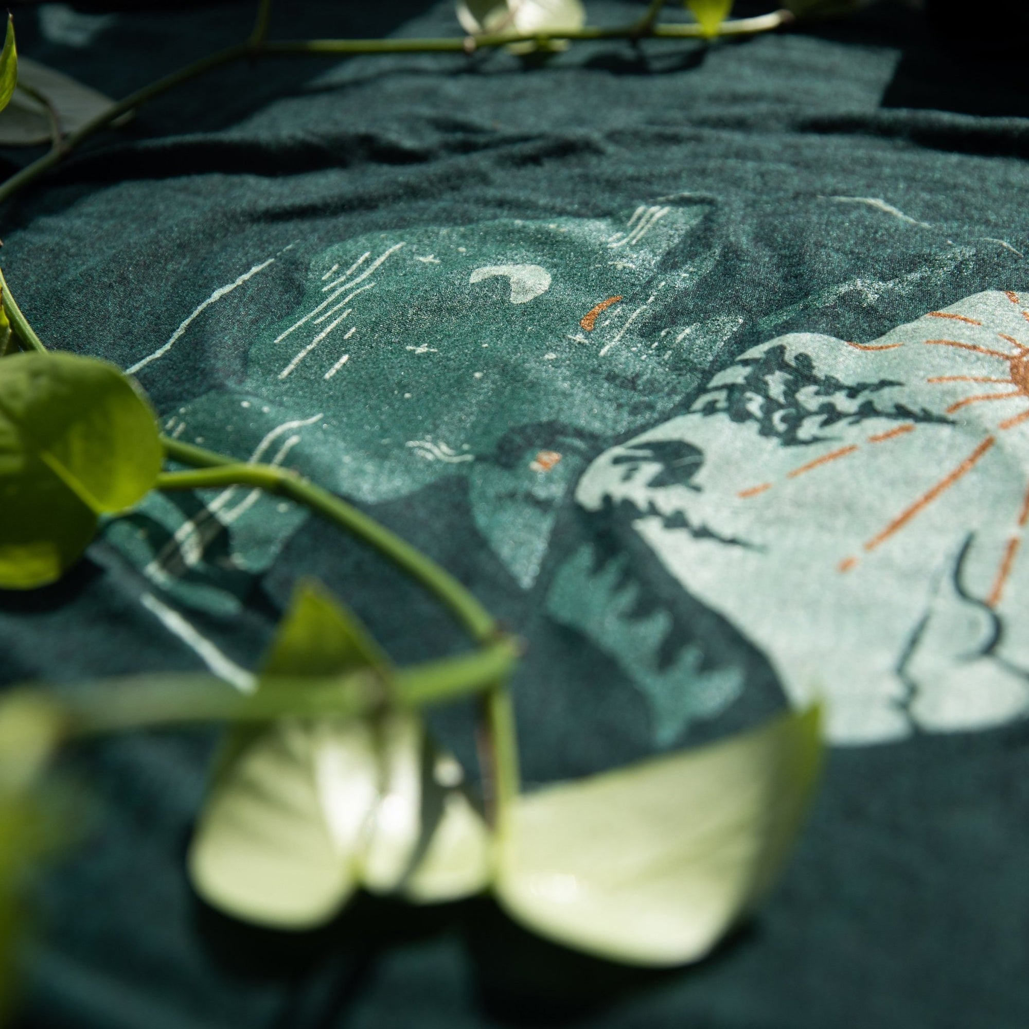 Reflection - menottees