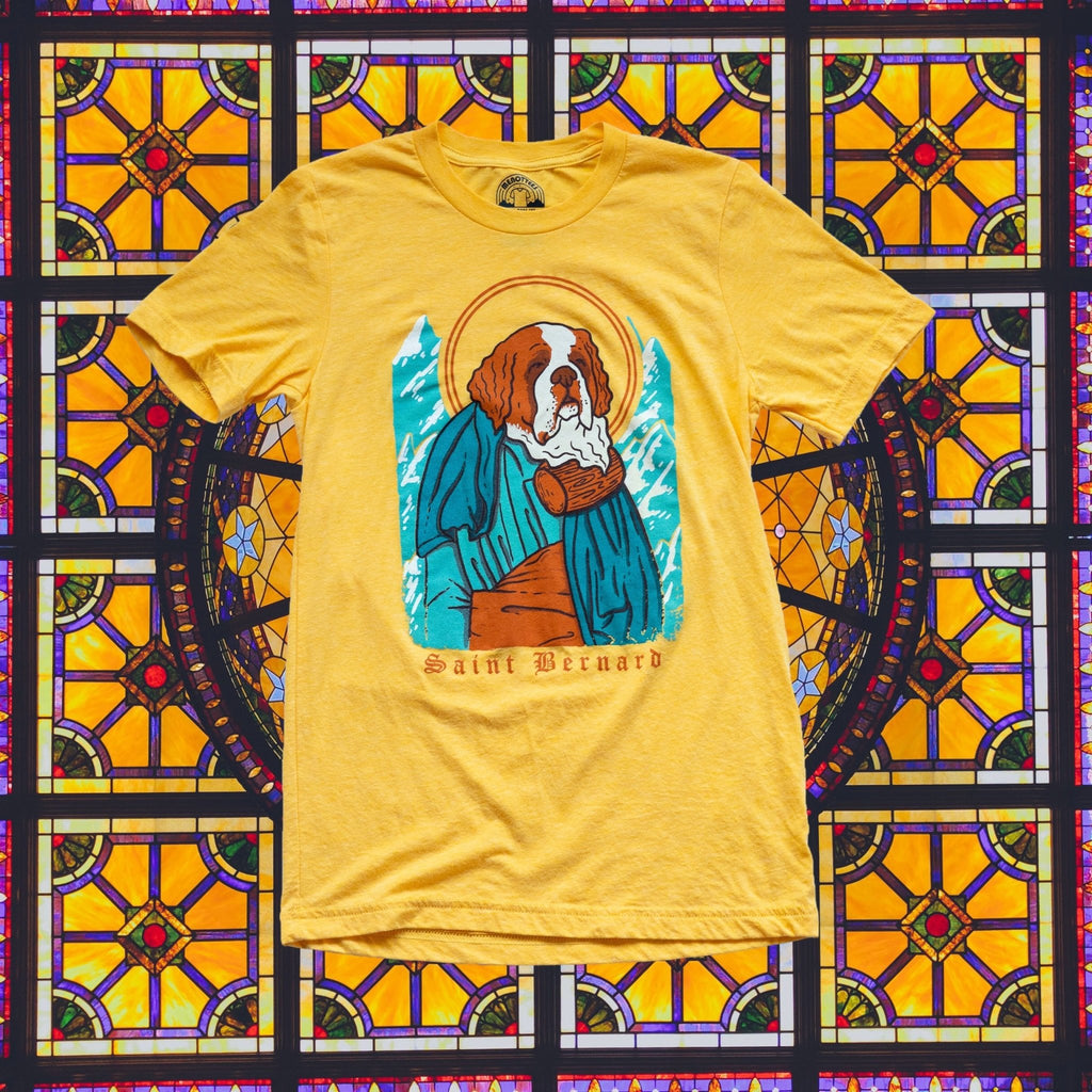 Saint Bernard - menottees