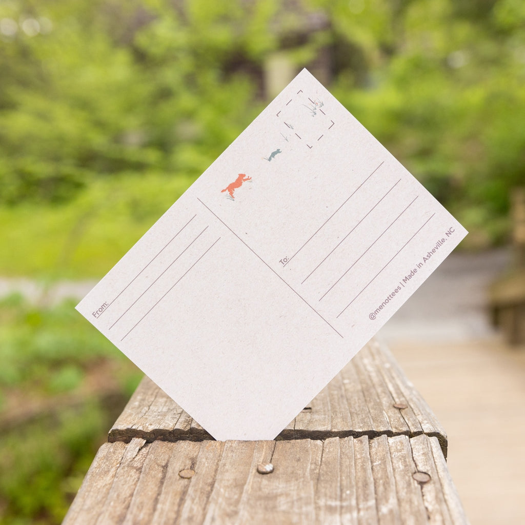 Summer Mountain Weather Postcard