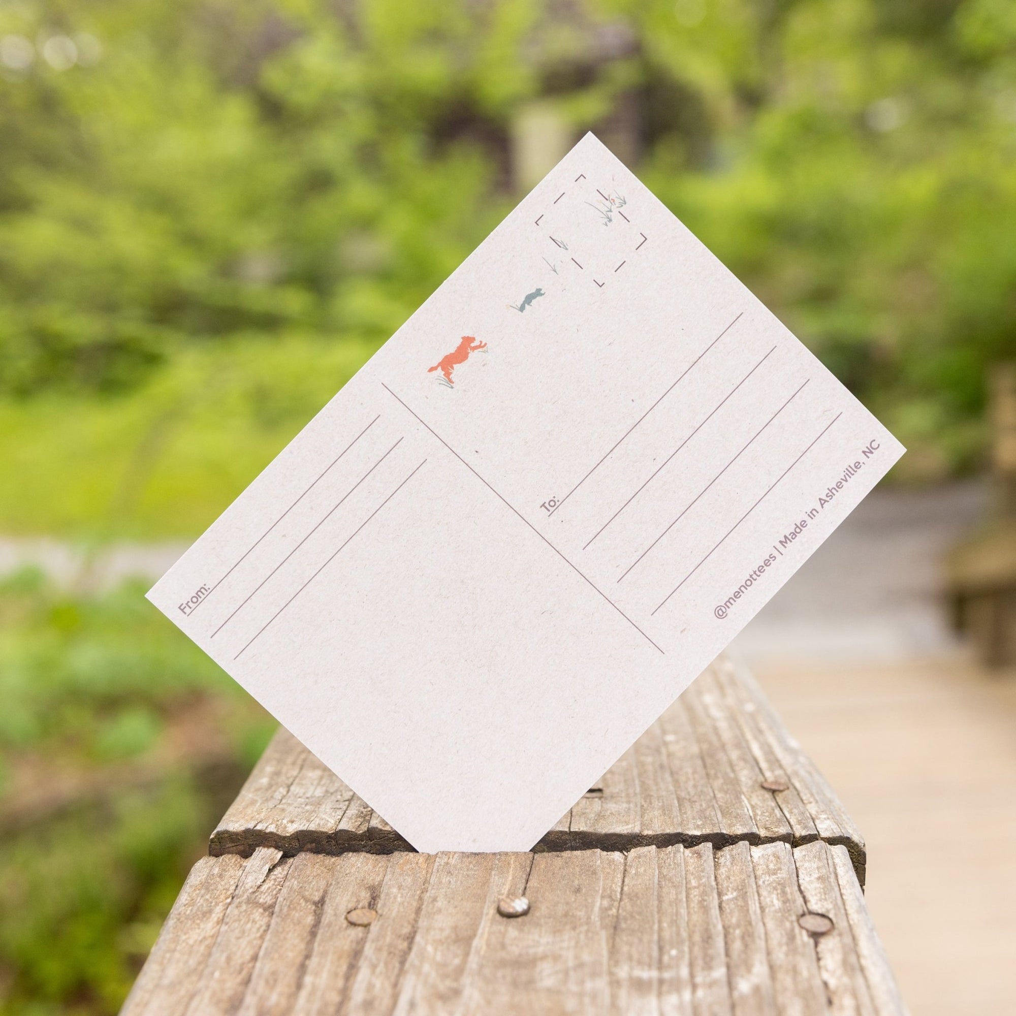 Summer Mountain Weather Postcard