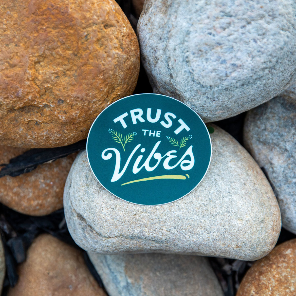 Trust the Vibes - menottees